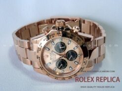 Daytona Everose Pink 116505