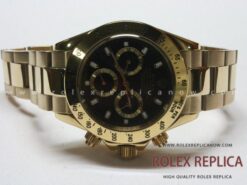 Daytona Gold 16528